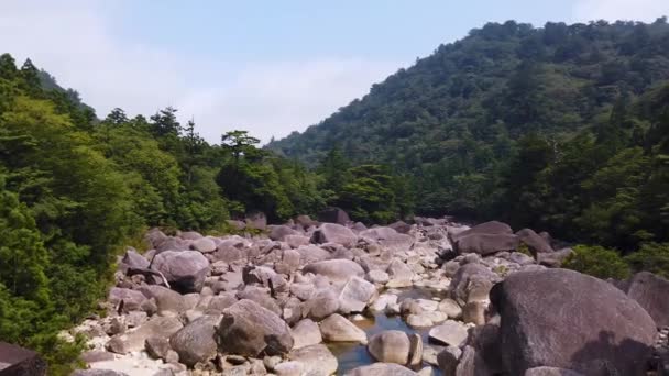Rocky Valley Och Stream Genom Yakushima Island Japan Pan Etablera — Stockvideo