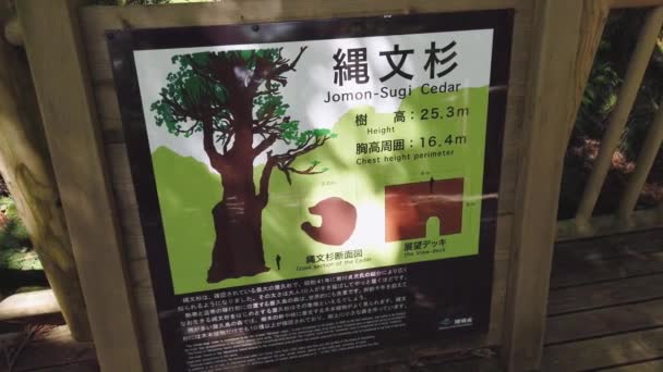 Panneau Information Jomon Sugi Cedar Sur Okabu Trail Sur Île — Video