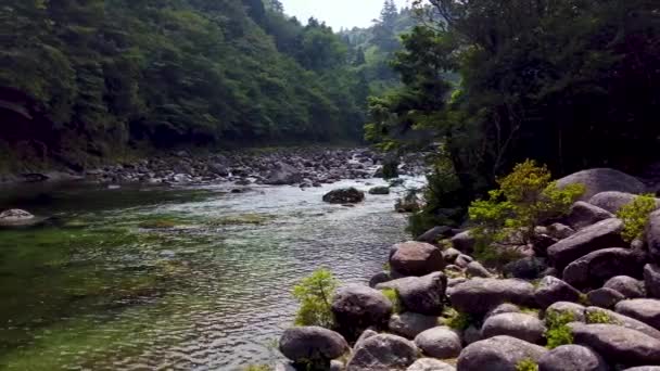 翡翠阿拉川河流经日本横岛 设立射击 — 图库视频影像