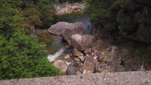 Ríos Yakushima Hermosa Isla Remota Japonesa — Vídeo de stock
