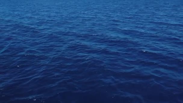 Ruhiger Ozean Segeln Über Das Meer Hintergrund — Stockvideo