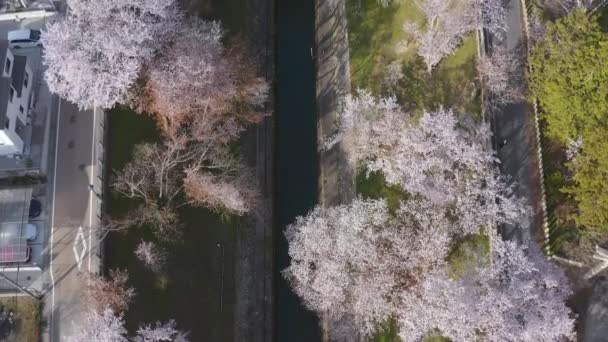 Biwako Kanalı Hava Görüntüsü Otsu Şehri Shiga Japonya — Stok video