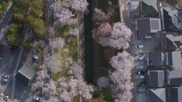 Biwako Canal Otsu Stad Shiga Japan Luchtfoto Bovenaanzicht Hoek — Stockvideo