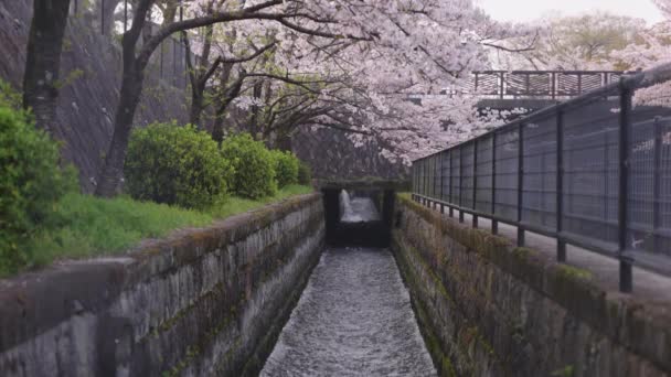 Biwako Sosui Strömmar Keage Incline Kyoto Vårsäsongen — Stockvideo