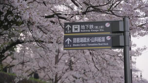 Keage Incline Biwako Canal Street Aanmelden Spring Sakura Season Kyoto — Stockvideo