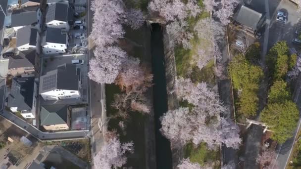 Biwako Kanaal Buurt Van Otsu Shiga Prefecture Uitzicht Lucht Japan — Stockvideo