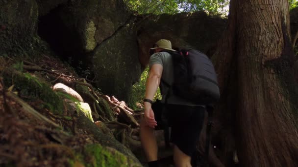 Ilha Yakushima Japão Homem Explorando Caminhadas Florestais Através Arco Trilha — Vídeo de Stock