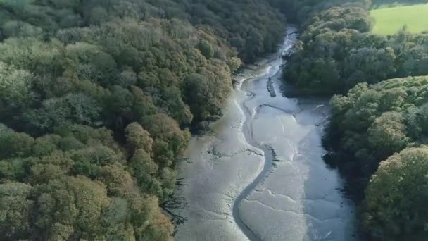 Αεροφωτογραφία Πάνω Από Ρηχή Λασπωμένη Εκβολή Ποταμού Στην Κορνουάλη Ηνωμένο — Αρχείο Βίντεο