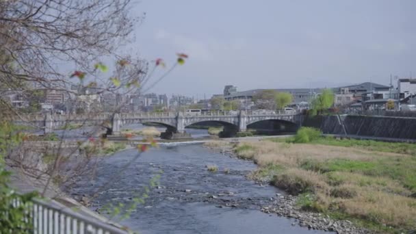 Río Kamogawa Kyoto Cálida Mañana Primavera Japón — Vídeo de stock