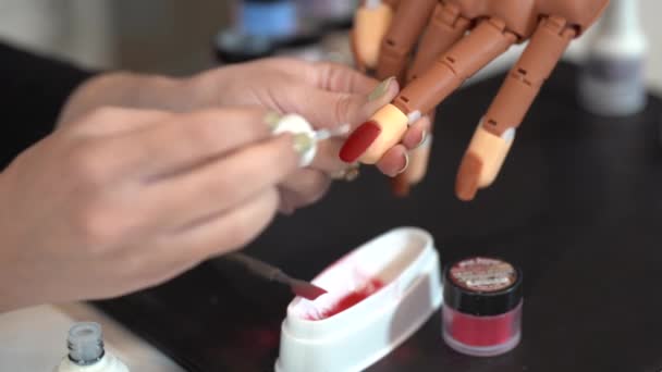 Pintura Manos Femeninas Con Barniz Rojo Uñas Falsas Pegadas Una — Vídeo de stock