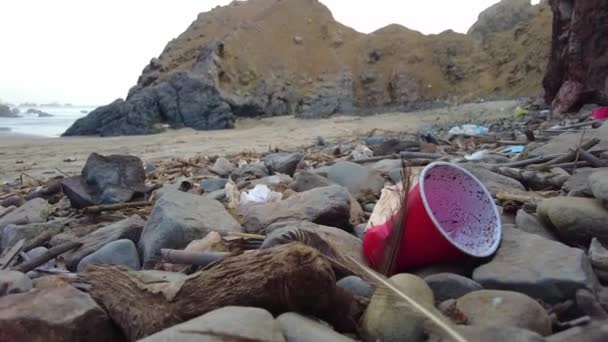 海洋汚染だ ゴミが海岸にこぼれた 海岸の環境問題は — ストック動画