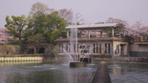 Kyoto Japonya Keage Incline Fountain Arka Planda Spring Sakura — Stok video