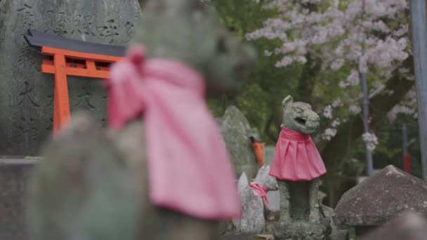 Статуї Kitsune Fox Fushimi Inari Shrine Kyoto Japan Застрелений — стокове відео