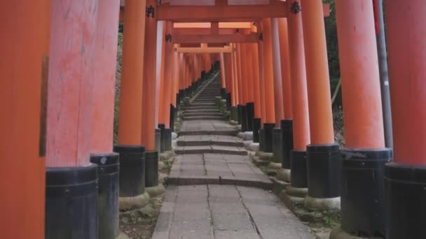 Red Torii Gates Fushimi Inari Taisha Incline Revelar Sem Pessoas — Vídeo de Stock