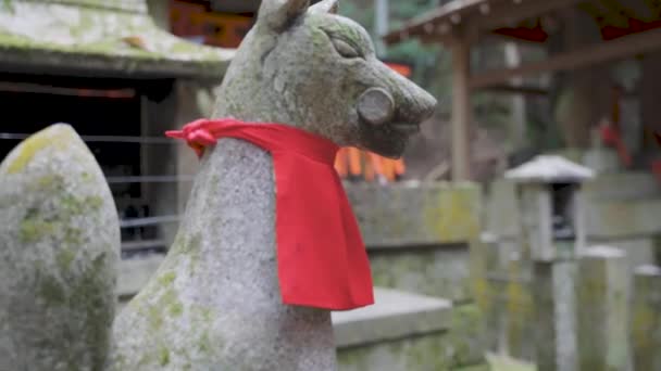Fox Guardian Статуя Красным Шарфом Медленный Фокус Стойки Выявления Fushimi — стоковое видео