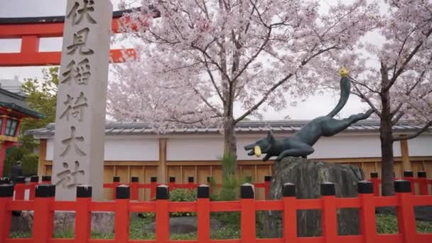 Sakura Floresce Sobre Fushimi Inari Entrance Gate Kyoto Japão — Vídeo de Stock