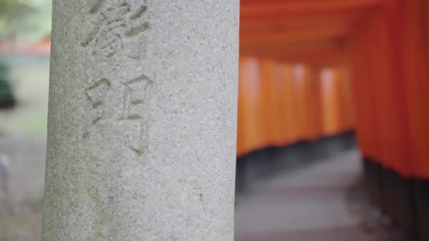 Gateway Walk Fushimi Inari Torii Rack Focus Reveal Shot Japan — Stockvideo