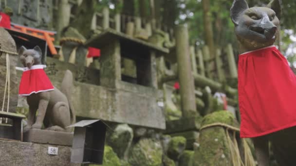 Kitsune Statuen Bei Fushimi Inari Zeitlupe Kyoto Japan — Stockvideo