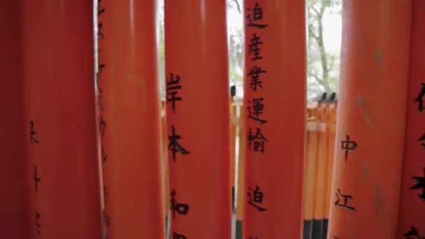 Fushimi Inari Gates Walking Pan Tunnel Torii Background — Stock Video
