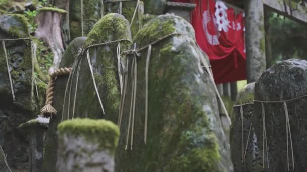 Moosbedeckte Felsen Fushimi Inari Schrein Kyoto Japan Schwenk Über Die — Stockvideo
