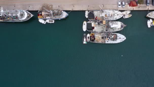 Комерційні Риболовецькі Угіддя Англ Commercial Fishing Vessels Moored Harbour Fish — стокове відео