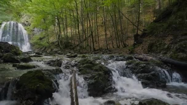 ヨーロッパのアルプスの森の中で速く動く滝の上でパンニングを撃つ — ストック動画