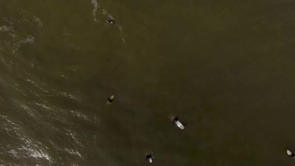 Verticaal Zicht Vanuit Lucht Surfers Hun Surfplanken Drijvend Het Oppervlak — Stockvideo