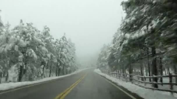 Pov Fahren Einem Nebligen Und Verschneiten Wald — Stockvideo