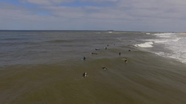 Vista Aerea Dei Surfisti Sulle Loro Tavole Surf Godendo Una — Video Stock