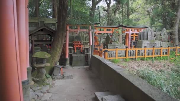 Indietro Vuoto Del Tempio Fushimi Inari Kyoto Giappone Pan Stabilire — Video Stock