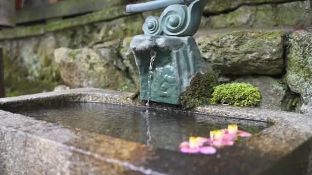 Fuente Agua Cámara Lenta Santuario Fushimi Kioto — Vídeos de Stock