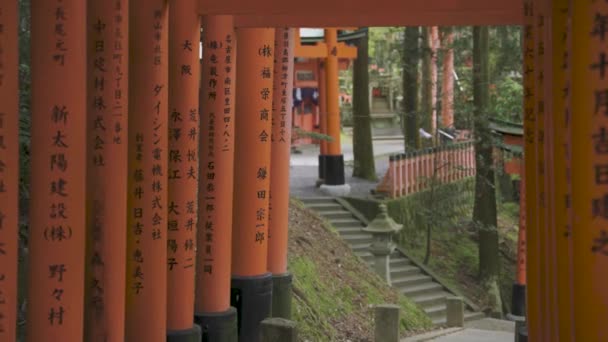 Kyoto Japón Fushimi Inari Shrine Slow Pan Shot People — Vídeos de Stock