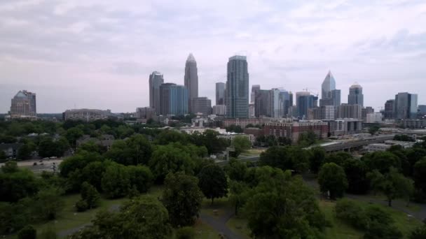 Charlotte Skyline Aerial Rising Treetops Charlotte Charlotte North Carolina — Stock video