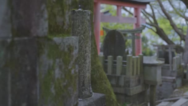 Fushimi Inari Taisha Kyoto Giappone Chiudere Pan Lento Girato Sopra — Video Stock