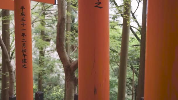 Pan Atirou Sobre Kyoto Torii Gates Santuário Fushimi Japão — Vídeo de Stock