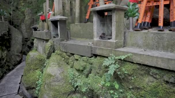 Spaziergang Durch Den Fushimi Inari Schrein Standpunkt Aufnahme Kyoto Japan — Stockvideo