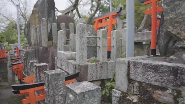 Fushimi Inari Taisha Slow Motion Pan Back Shrine Kyoto Japan — Stock Video