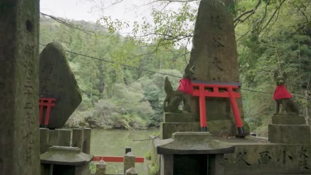 Αλεπούδες Κασκόλ Στο Kyoto Shrine Fushimi Inari Taisha Αργή Pan — Αρχείο Βίντεο