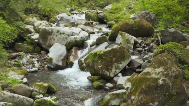Rocce Muschiose Nel Fiume Parco Nazionale Del Monte Daisen Tottori — Video Stock