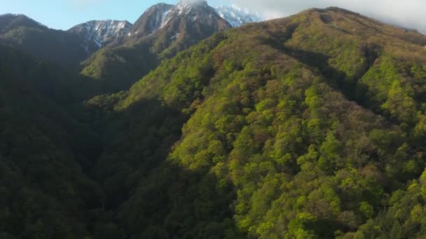 Daisen Forests Tottori Tilt Reveal Establishing Shot Ιαπωνία — Αρχείο Βίντεο