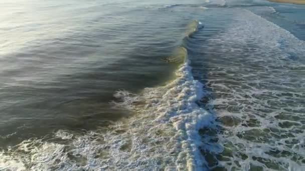 Vista Aérea Surfista Nadando Para Pegar Algumas Ondas Uma Bela — Vídeo de Stock