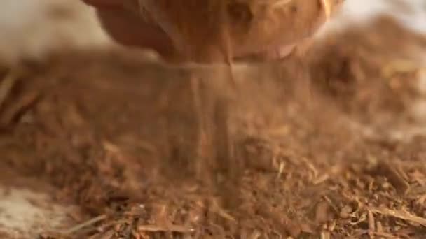 Makro Shot Madder Root Powder Production Używane Barwników Czerwonych Tekstyliów — Wideo stockowe