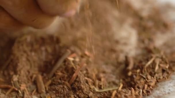 Madder Powder Production Plant Roots Παραδοσιακή Βιολογική Βαφή Υφασμάτων Στο — Αρχείο Βίντεο