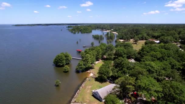 Emlak Havacılığı Marion Gölü Marion Gölü Güney Carolina — Stok video