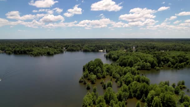 Cypressen Aan Kust Van Lake Marion Lake Marion South Carolina — Stockvideo