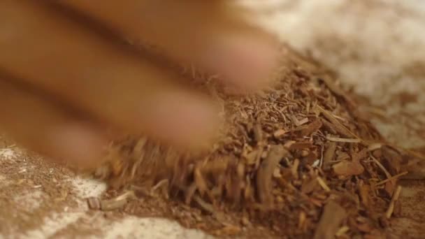 天然植物根茎手加工麦芽粉的宏观效果研究 作为药物和染料的应用 — 图库视频影像