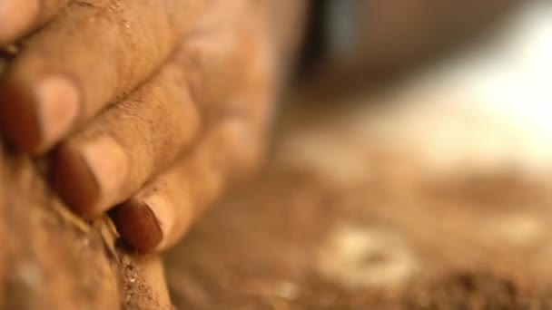 Macro Tir Des Mains Lors Production Poudre Madder Teinture Médecine — Video