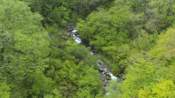 Αεροφωτογραφία Του Ποταμού Daisen Στα Δάση Του Tottori Ιαπωνία — Αρχείο Βίντεο