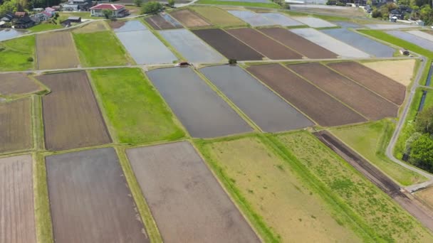 Αγροτική Ιαπωνία Εναέρια Άποψη Tilt Shot Πάνω Από Την Πόλη — Αρχείο Βίντεο