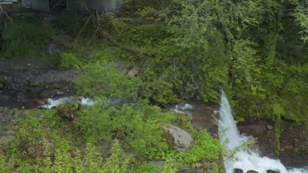 Cascada Forestal Las Montañas Daisen Prefectura Tottori Japón — Vídeo de stock